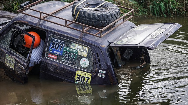 彩表现的舞 彩表现的舞