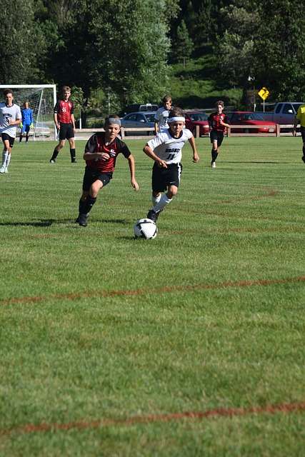 的市场价值 的市场价值