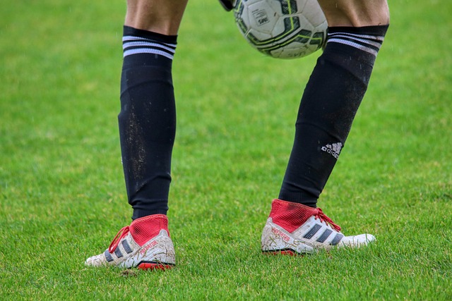 情绪的良性 情绪的良性