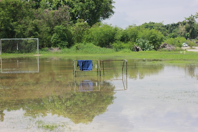有许多因为 有许多因为
