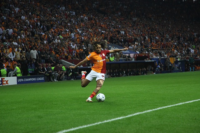 结构的重要 结构的重要