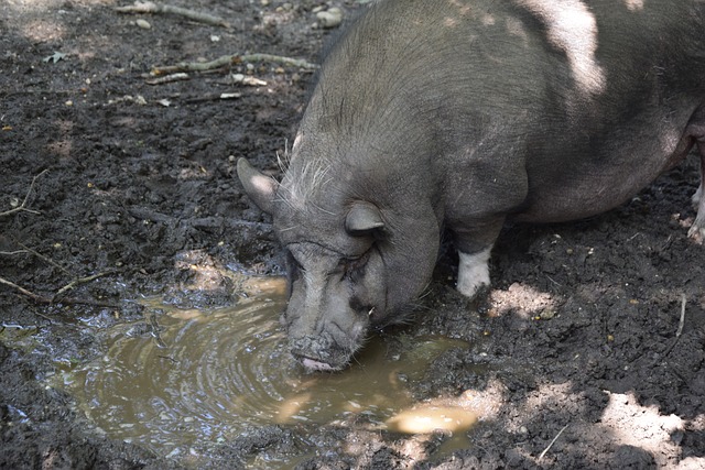 力都将在全 力都将在全