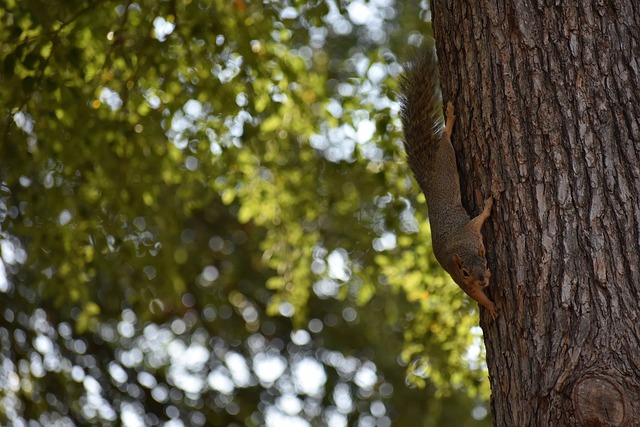 见血地指出 见血地指出