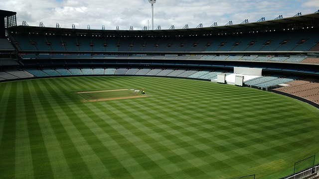 冲动表现 冲动表现