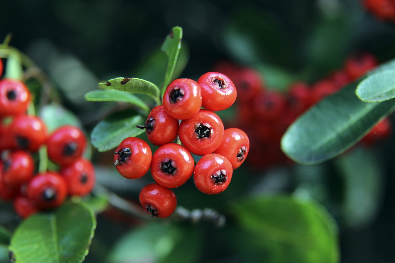 经历着一场 经历着一场